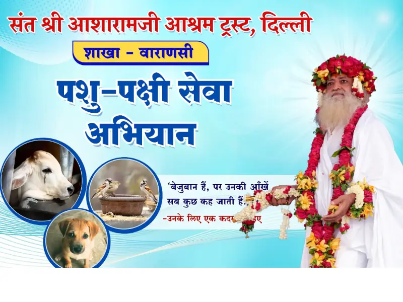 Animal & Bird Welfare